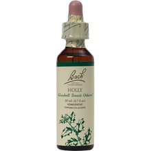 Load image into Gallery viewer, Holly Flower Essence 20 ml
