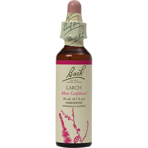 Larch Flower Essence 20 ml