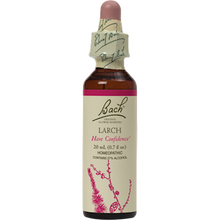 Load image into Gallery viewer, Larch Flower Essence 20 ml
