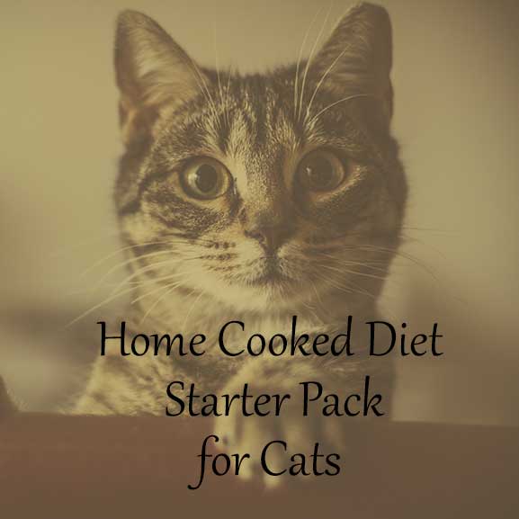 Home Cooked Diet for Cats Starter Pack