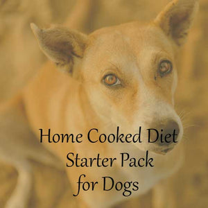 Home Cooked Diet for Dogs Starter Pack