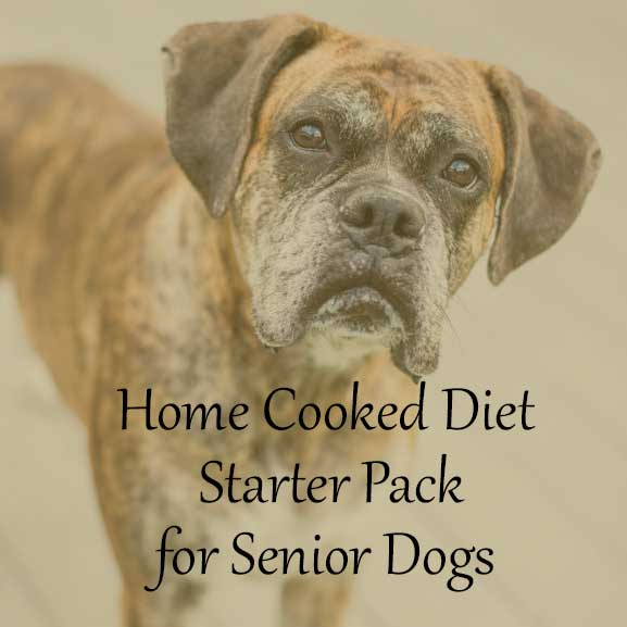 Home Cooked Diet for Senior Dogs Starter Pack